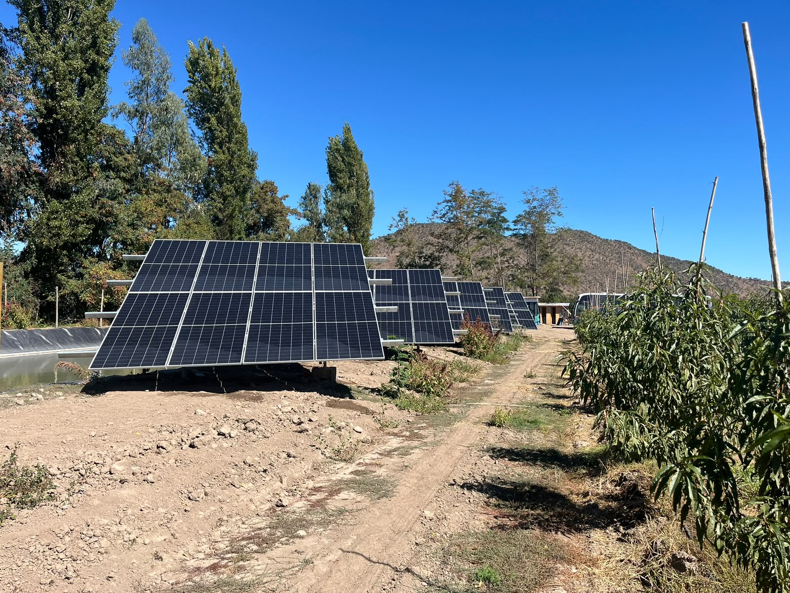Planta solar fotovoltaica junto a un huerto